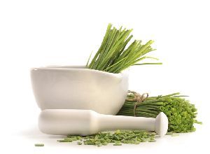 Fresh cut chives with a mortar and pestle